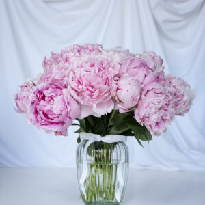 PRE-ORDER Luxury Peony Box 25 stems and Ribbed Glass Vase