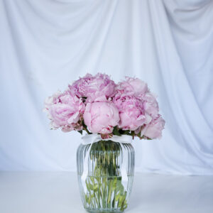 PRE-ORDER Letter Box Peonies 10 Stems